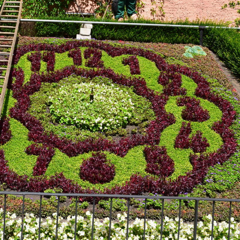 Pflanzenuhr in Zittau Pflanzenuhr in Zittau