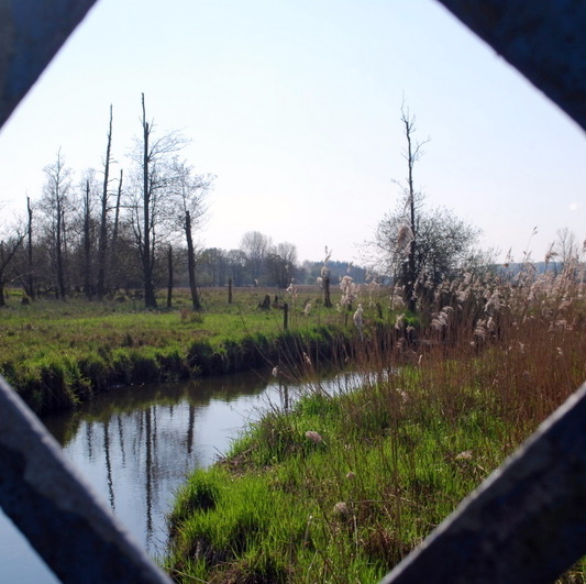 Blick auf die Eider von der Blauen Brücke