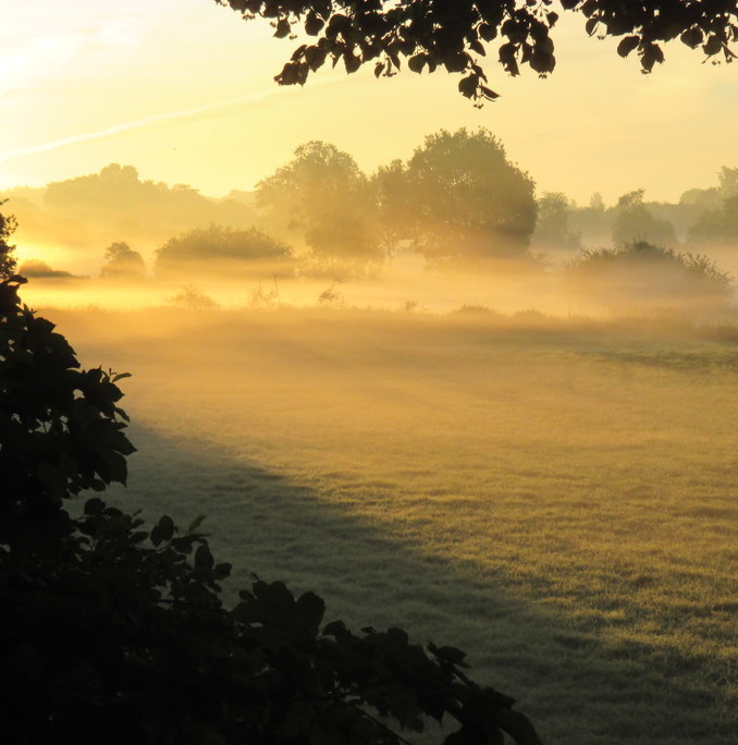 Morgenstimmung in Schleswig-Holstein