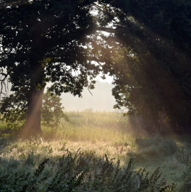 Sonnenstrahlen Sonnenstrahl